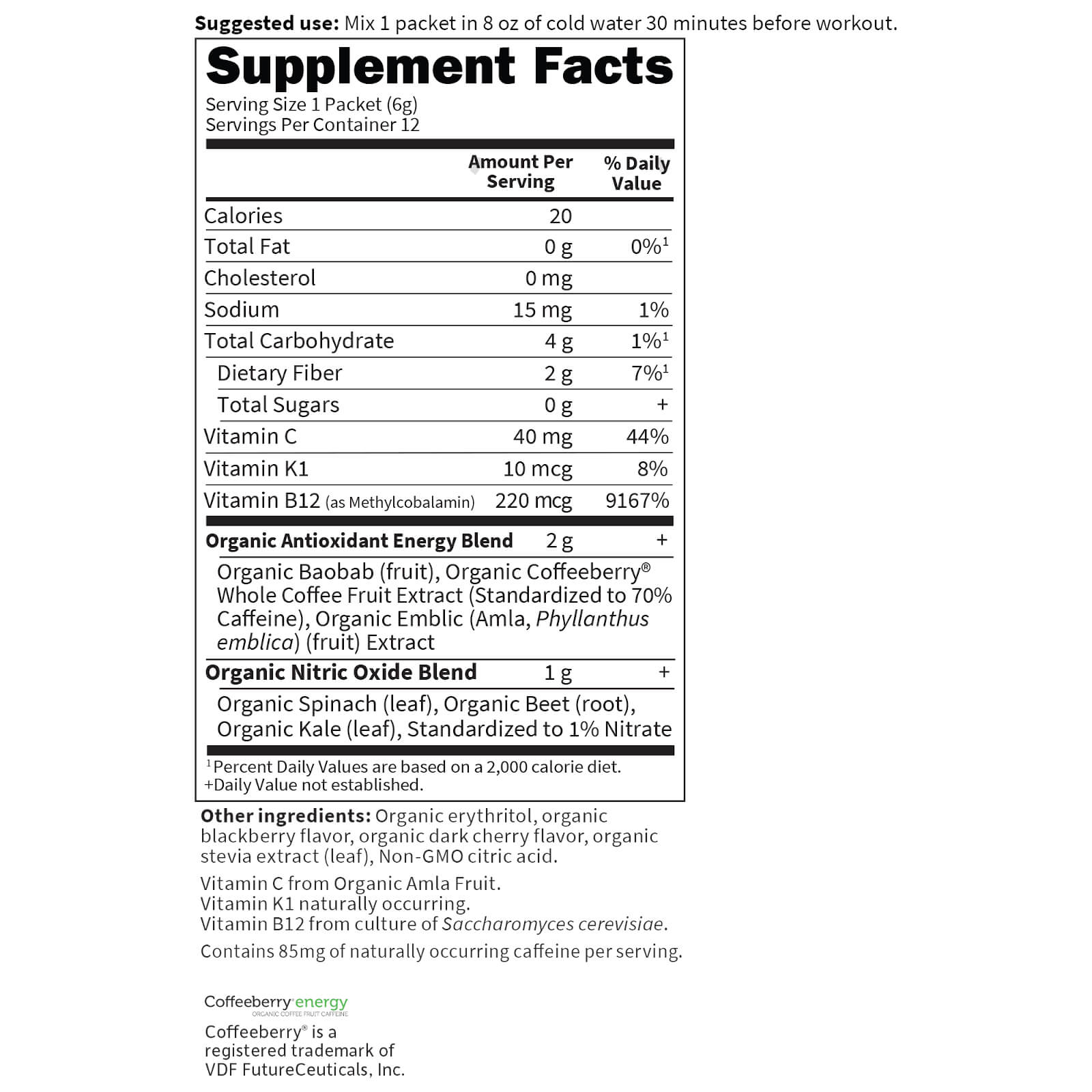 Tabela Nutricional Sport Organic Plant-Based Energy Plus Focus - Sugar Free Blackberry Cherry - 12 Sachês